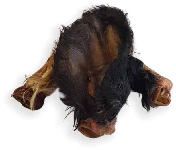 Tommy's Hairy Cows Ear - Single