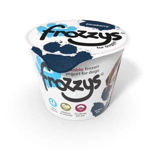 Frozzys Frozen Yogurt - Blueberry - Single Tub