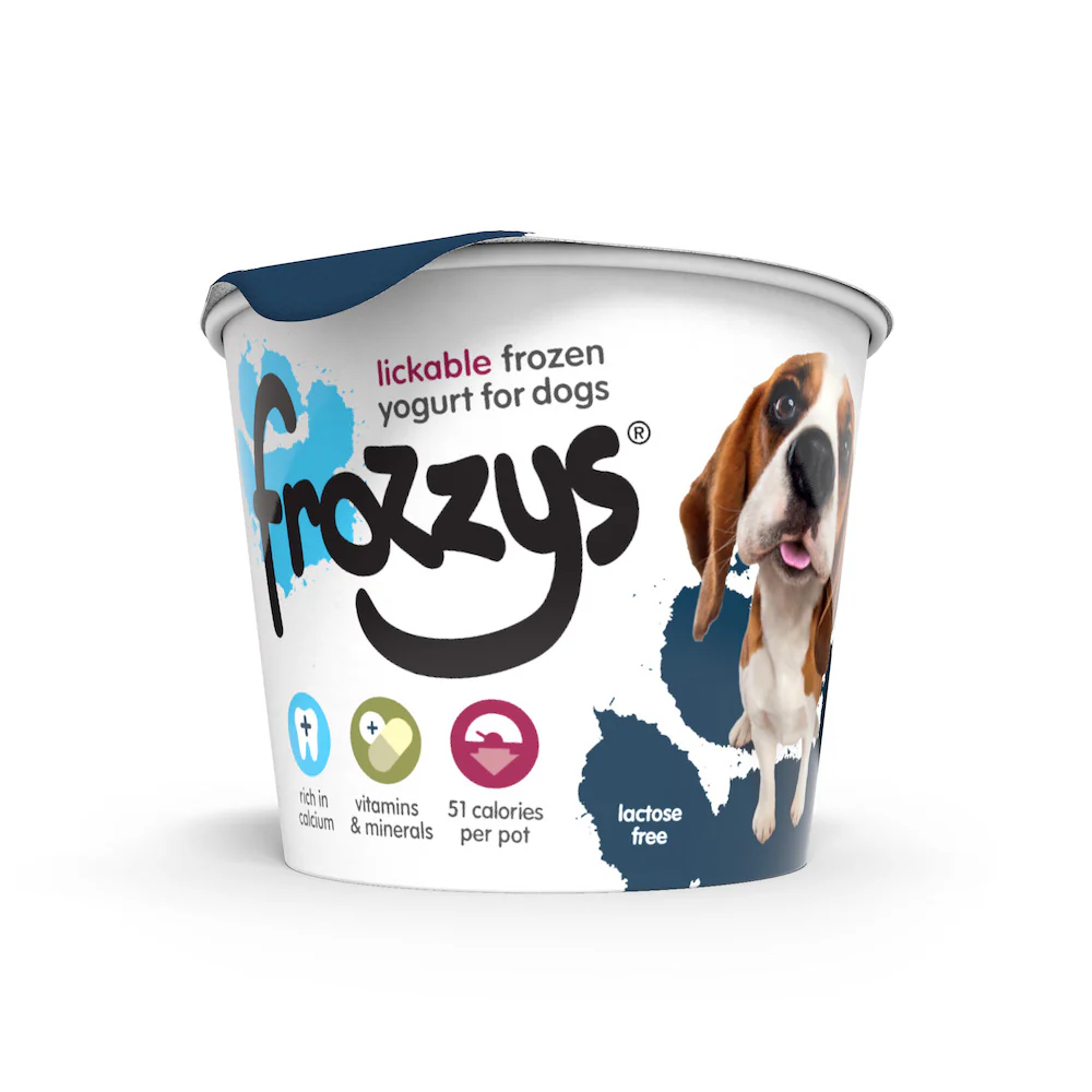 Frozzys Frozen Yogurt - Blueberry - Single Tub - Image 2