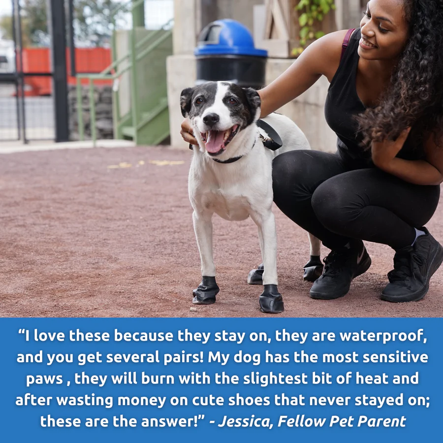 PawZ Rubber Dog Boots, 12 Boots - MEDIUM SIZE - Image 3