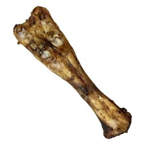 Tommy's Beef Leg Bone - Size Approx 25Cm - Single