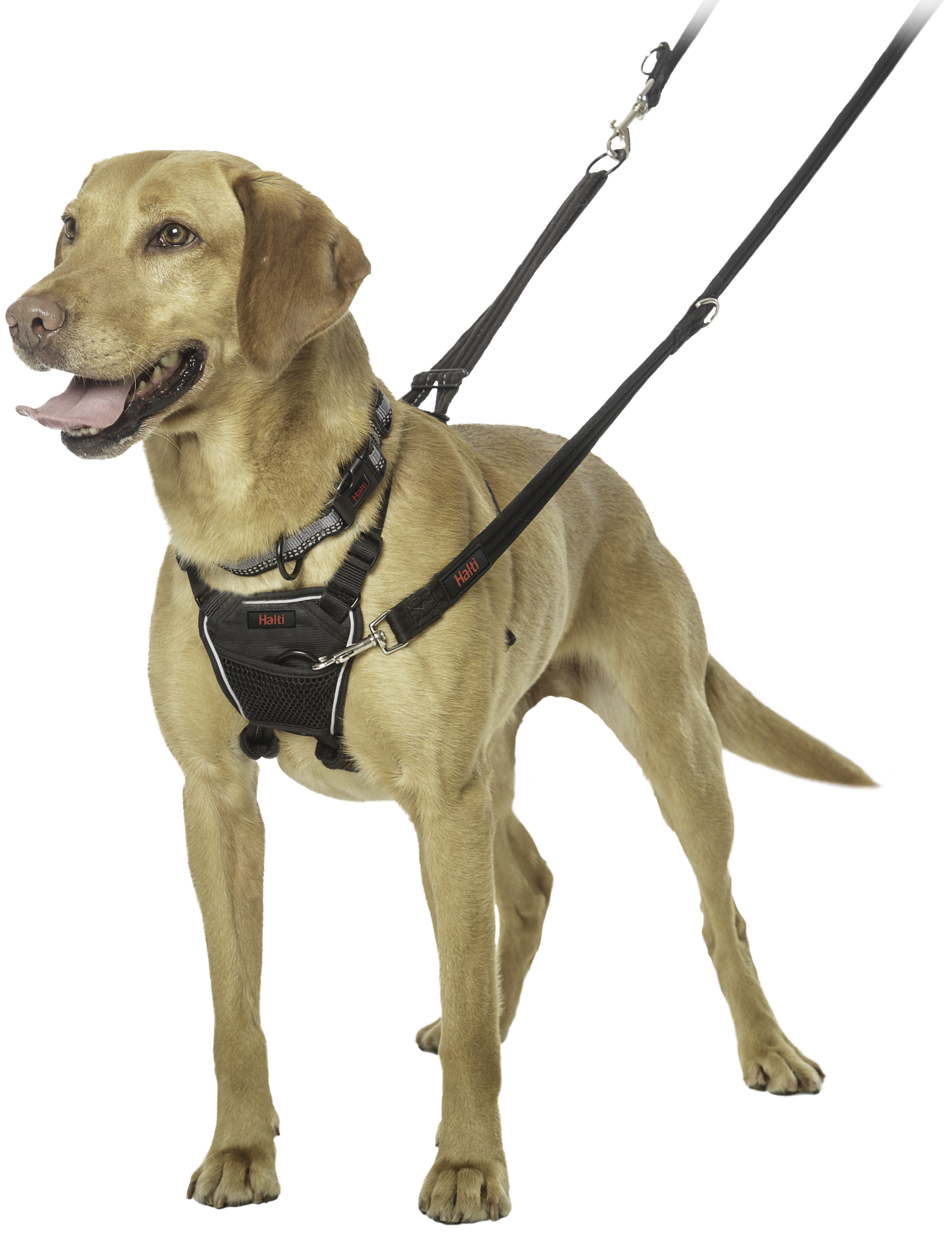 Halti No Pull Dog Harness Black Medium or Large - Image 2