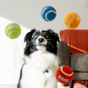 KONG Sport Softies Balls 3-pk Assorted - Small