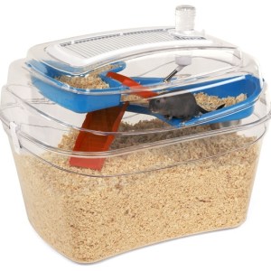 Rosewood Abode - Gerbilarium