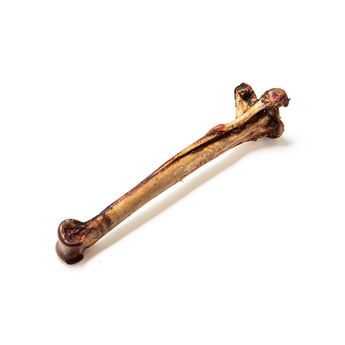 Tommys Ostritch Caveman Bone - Image 2