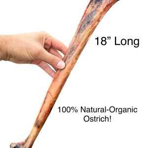 Tommys Ostritch Caveman Bone