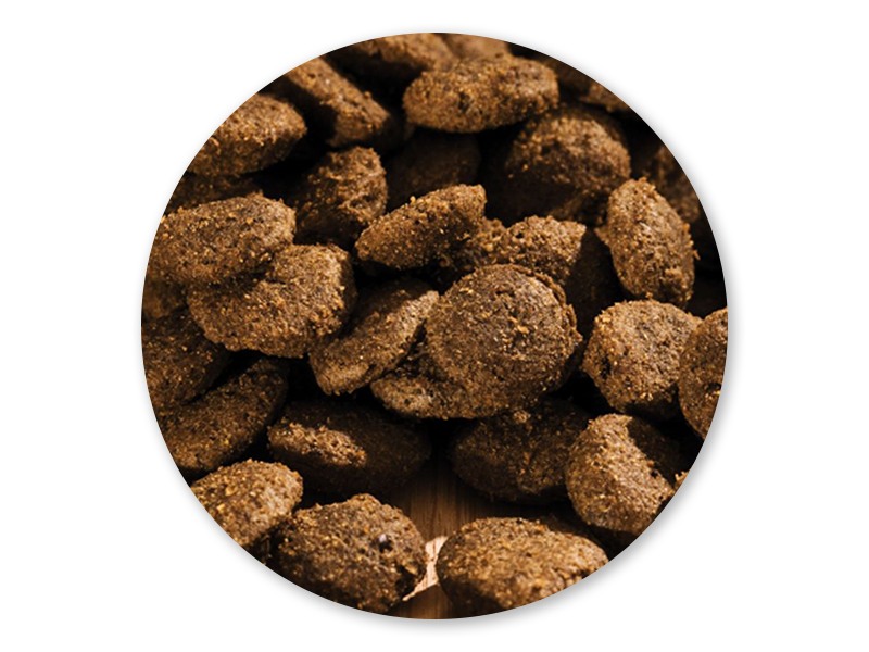 HAPPY DOG SENSIBLE Kibble / Biscuit - Africa Ostrich 12.5kilo - Image 7