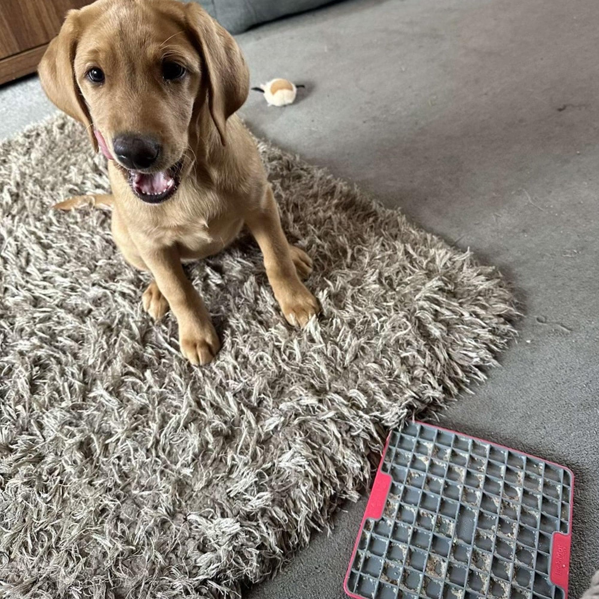 Supernature X LickiMat® Chicken Lickeez For Dogs 100g - Image 5