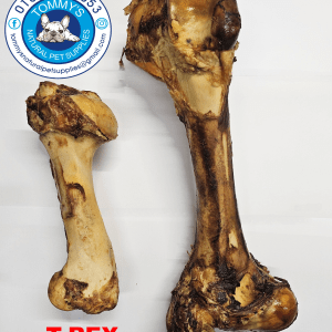 SUPERT POSTMANS LEG BONE FOR DOGS TOMMY'S