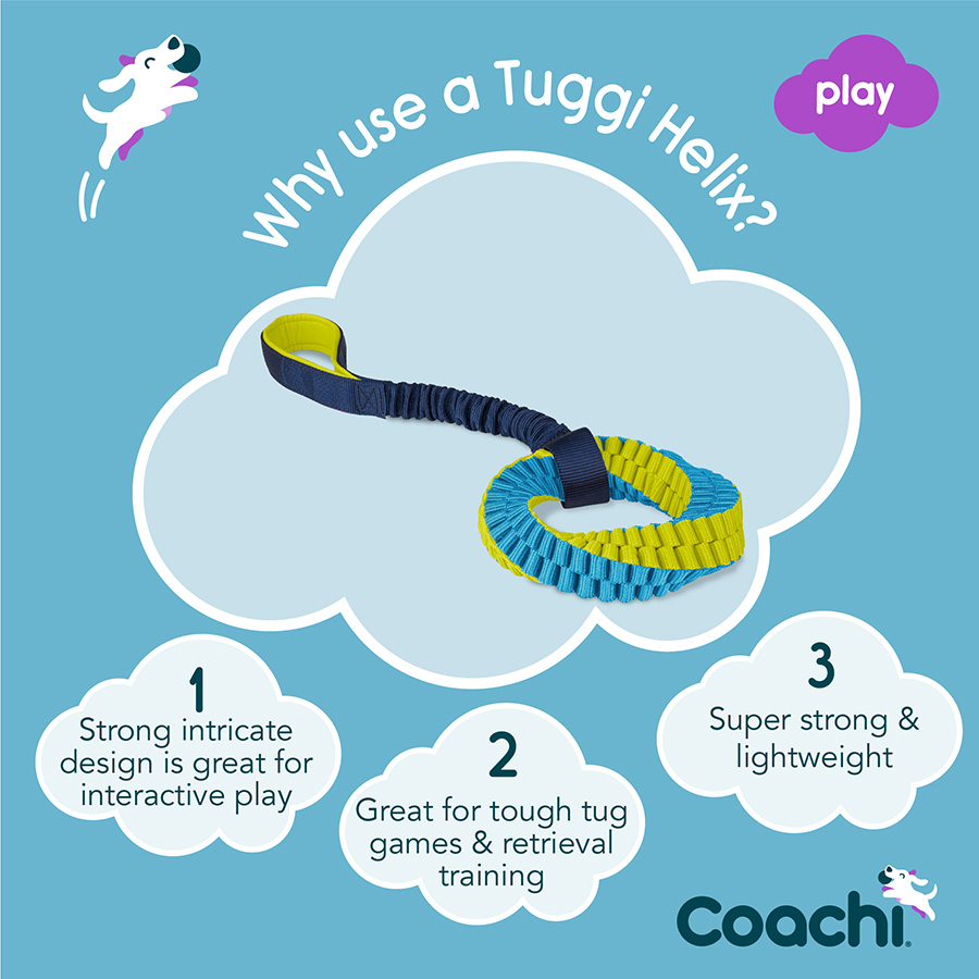 Coachi Tuggi Helix Dog Toy Blue & Lime - Image 4