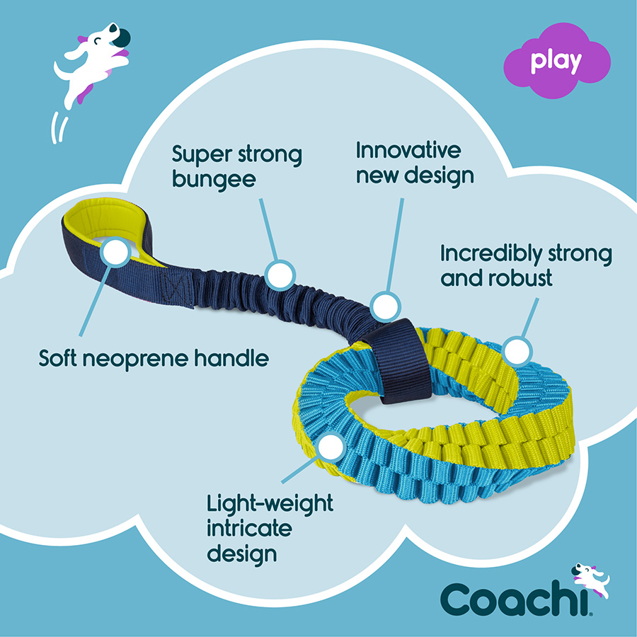 Coachi Tuggi Helix Dog Toy Blue & Lime - Image 5