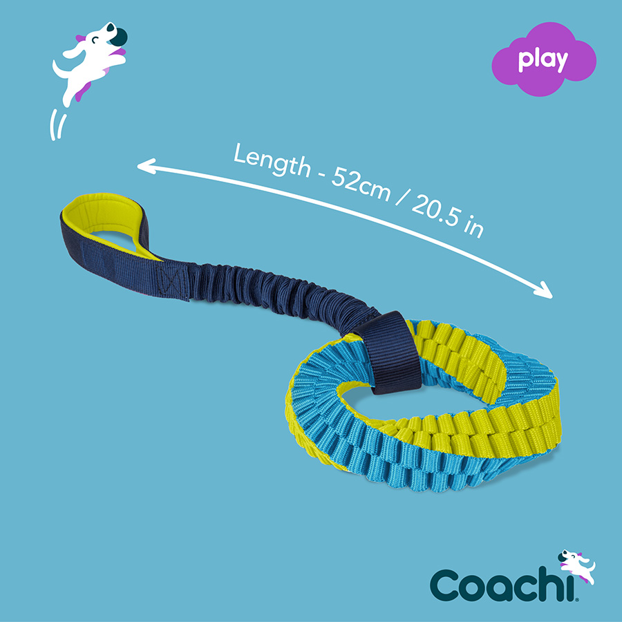 Coachi Tuggi Helix Dog Toy Blue & Lime - Image 6