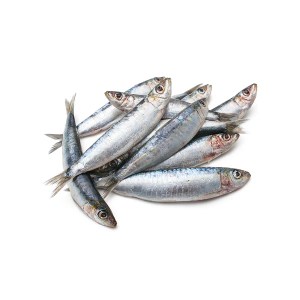 Tommy's Frozen Sardines 1Kg