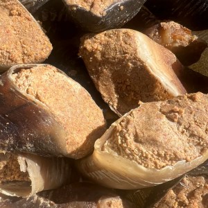 Premium Peanut Butter Filled Hooves