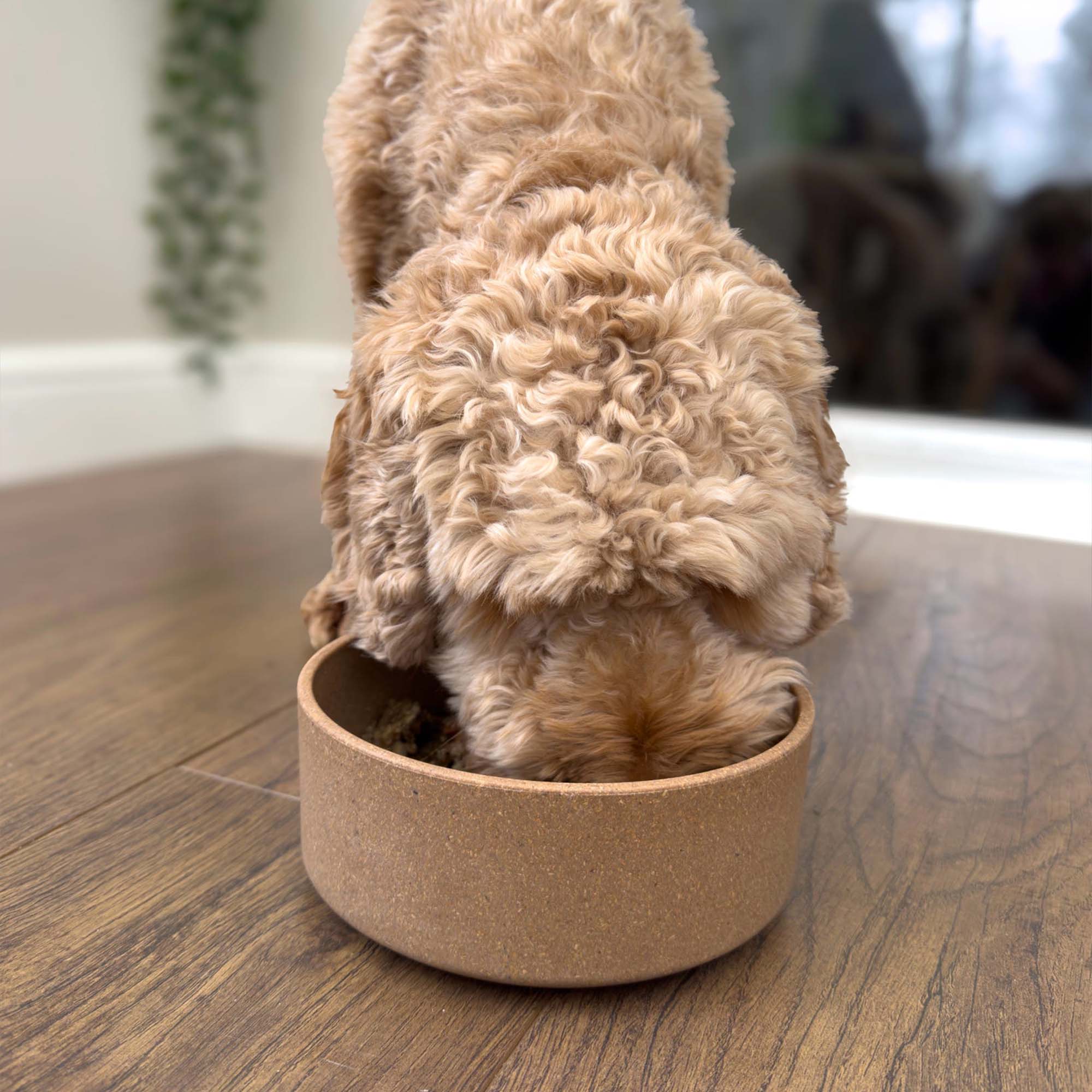 Bamboo Dog Bowl 1200ml - Image 2