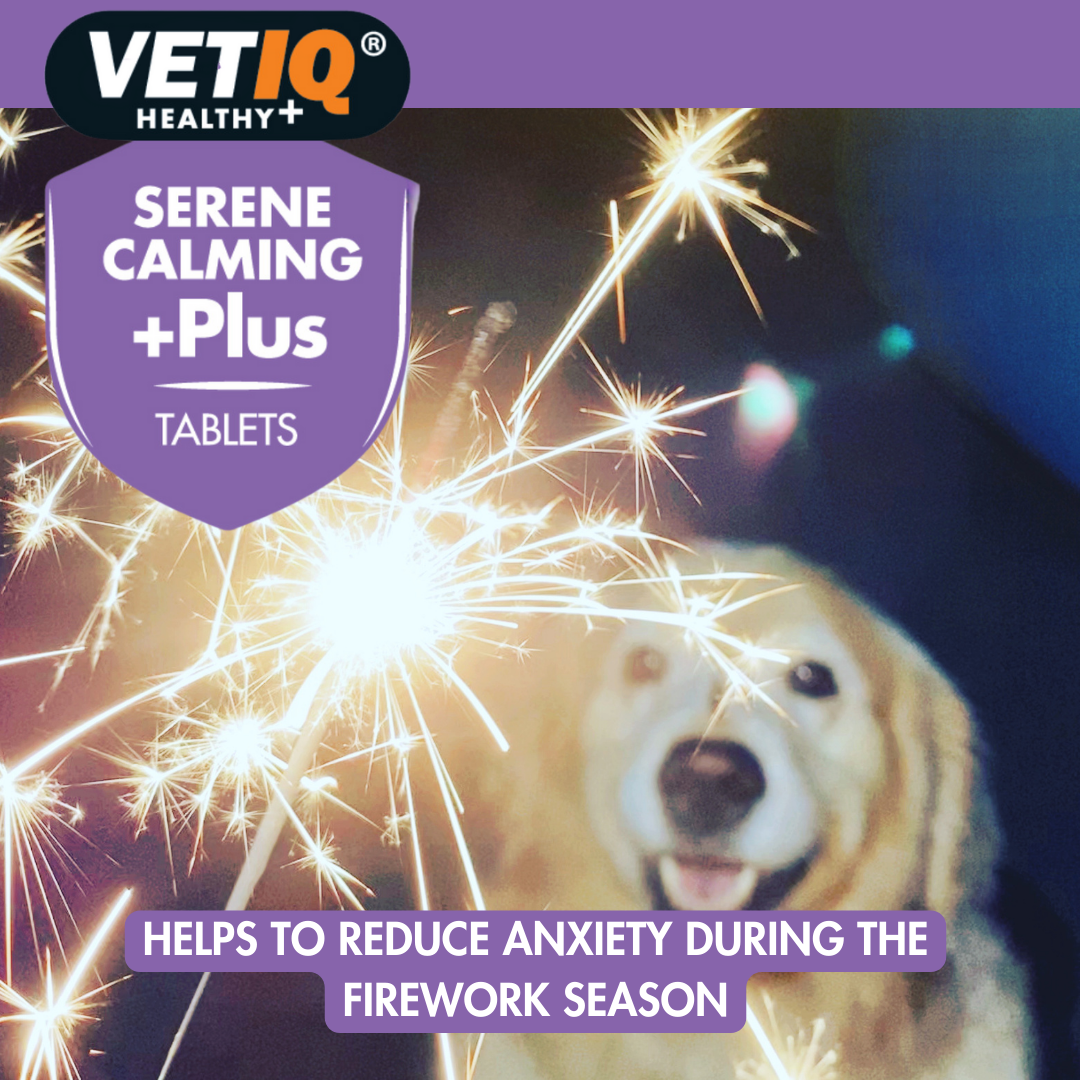 VETIQ Serene Calming +Plus 60 Tablets Up To 60Kg Dogs - Image 3