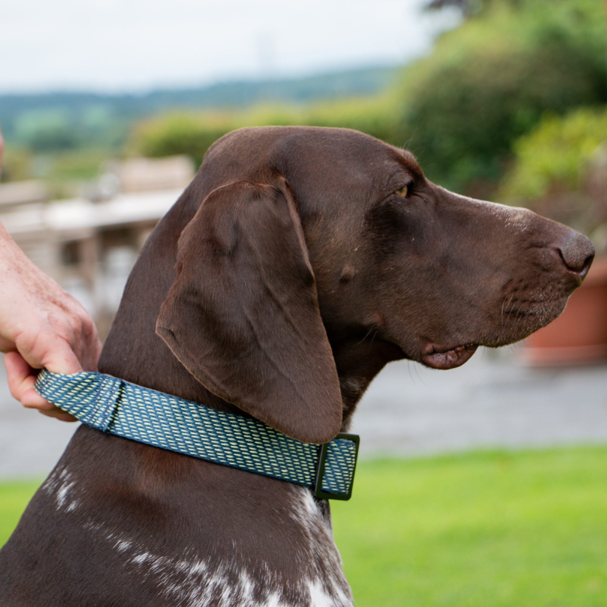 Extreme+ Collar With Grab Handle 46cm - 54cm - Image 4