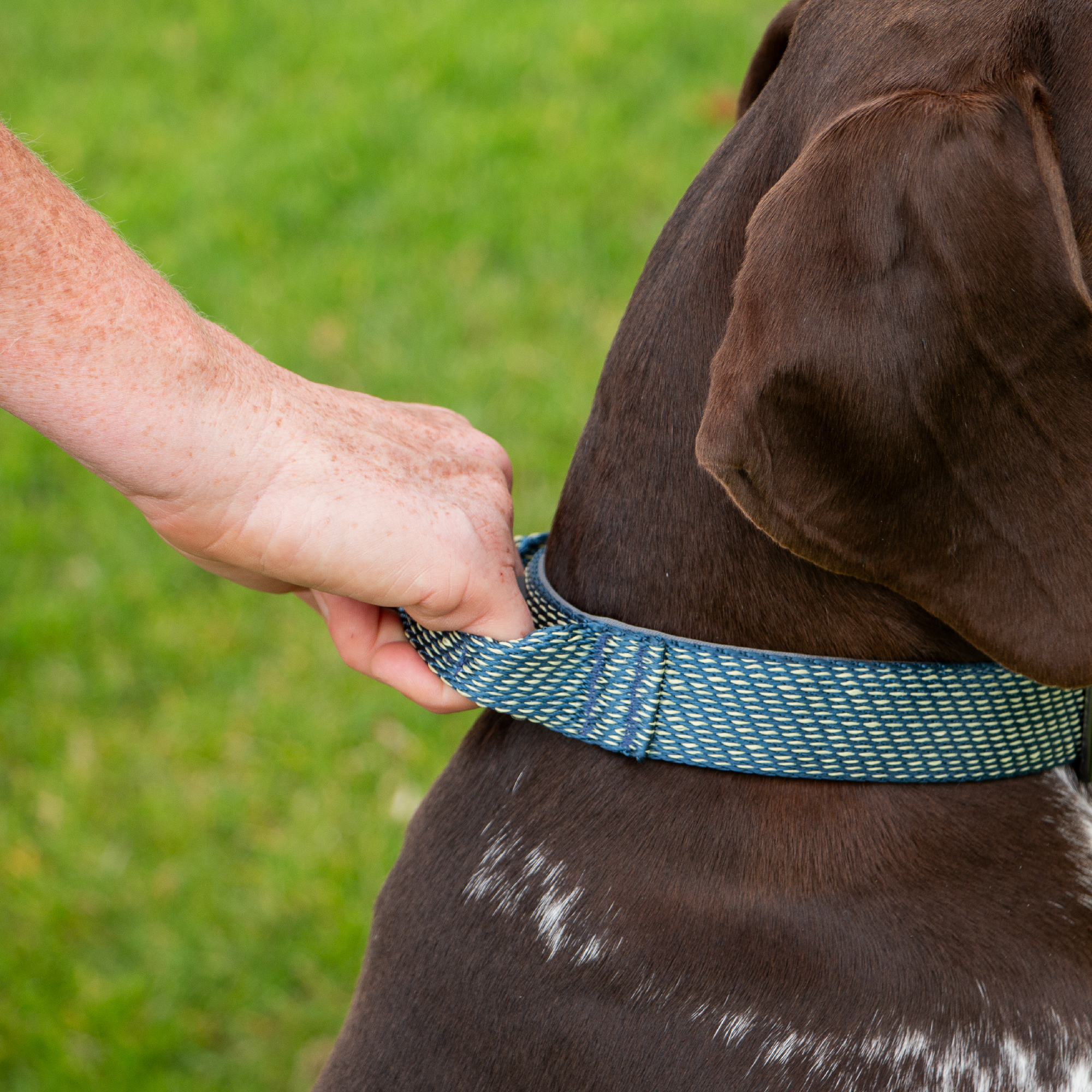 Extreme+ Collar With Grab Handle 46cm - 54cm - Image 3