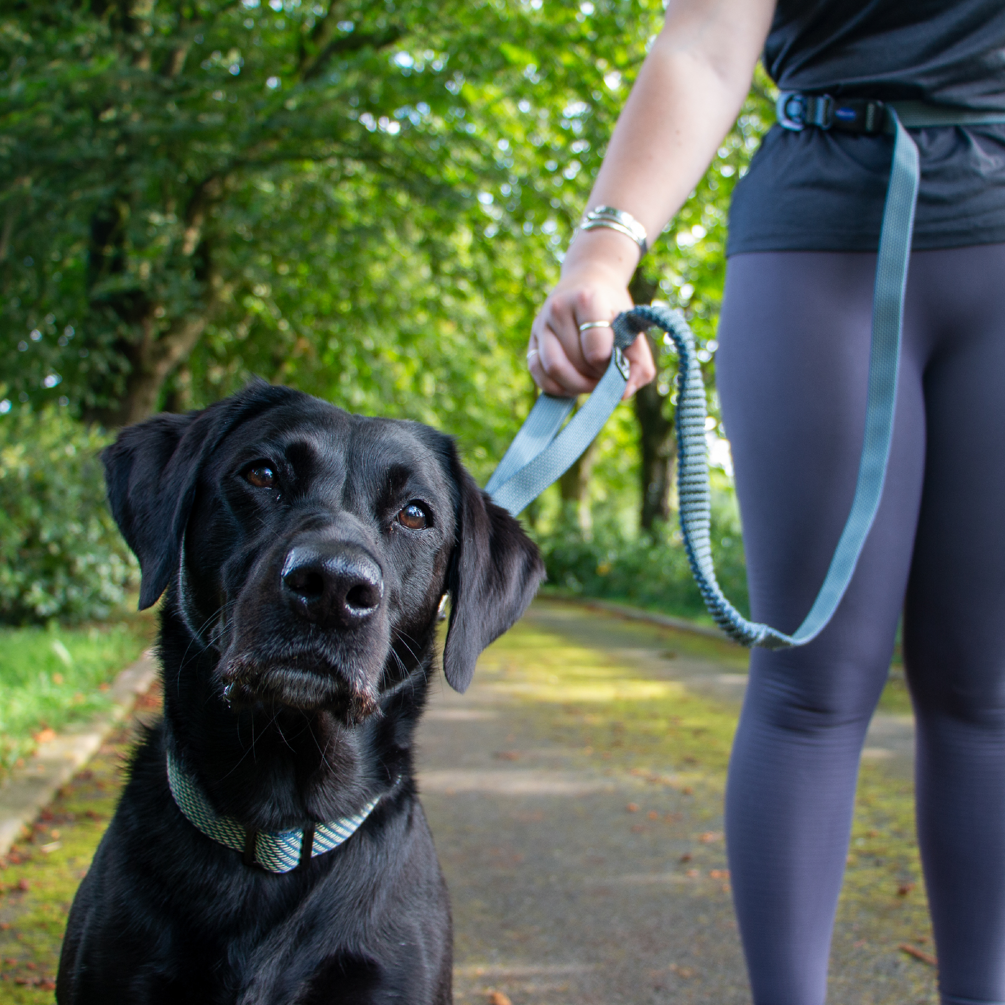 Extreme+ Running Lead Shock Absorb 180x2.5cm - Image 3