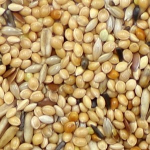 Tommy's Foreign Finch Food 1kg