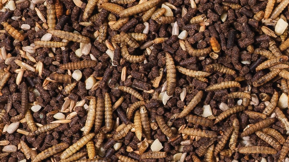 Johnston & Jeff 1.2kg Hedgehog Mix Premium Food Wildlife Seed - Image 2