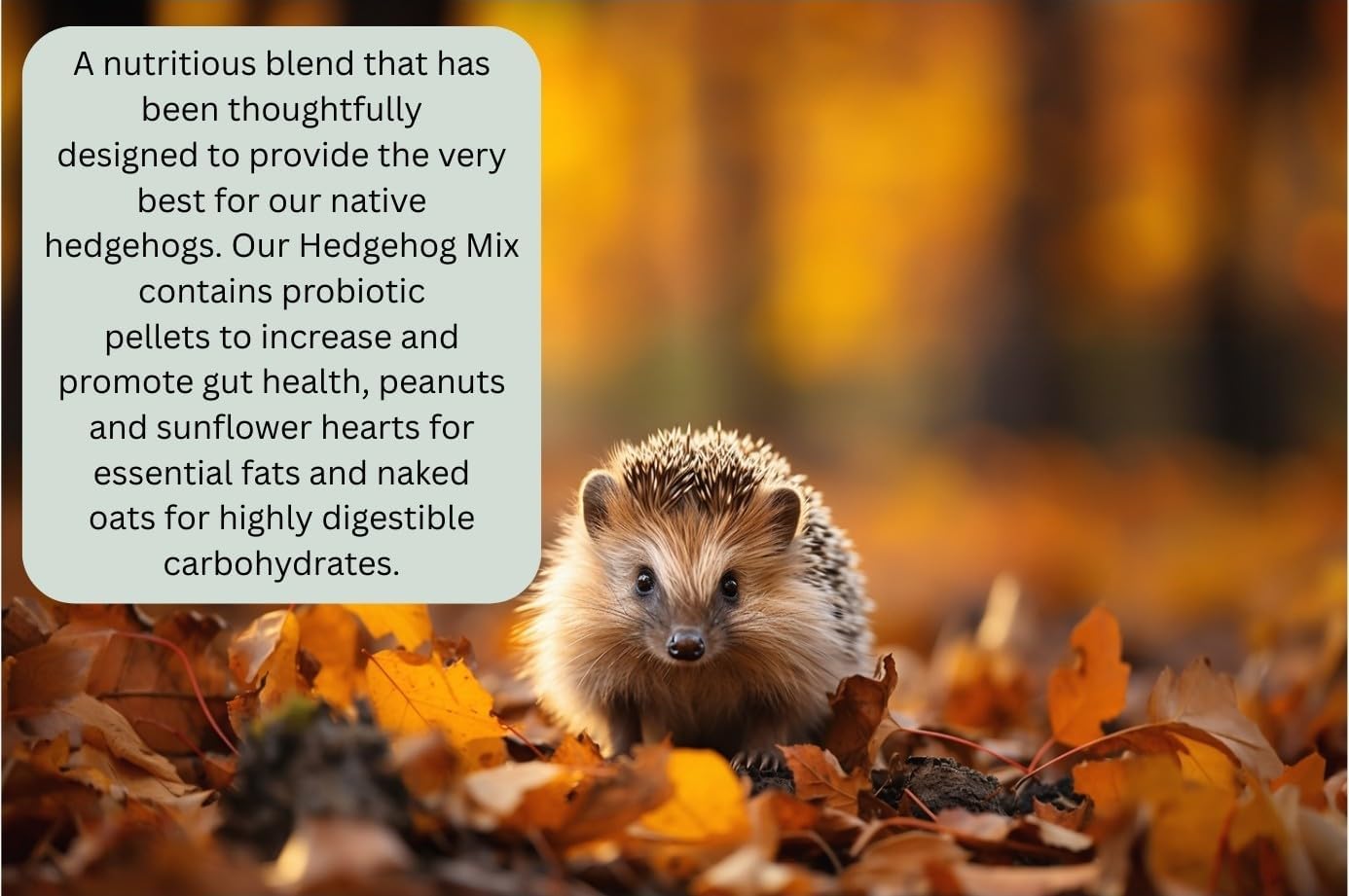 Johnston & Jeff 1.2kg Hedgehog Mix Premium Food Wildlife Seed - Image 3