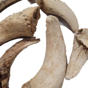 Tommy's Natural Lamb Horn Marrow