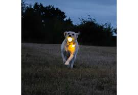 Ancol USB Rechargaeble LED Ball Yellow - Image 2