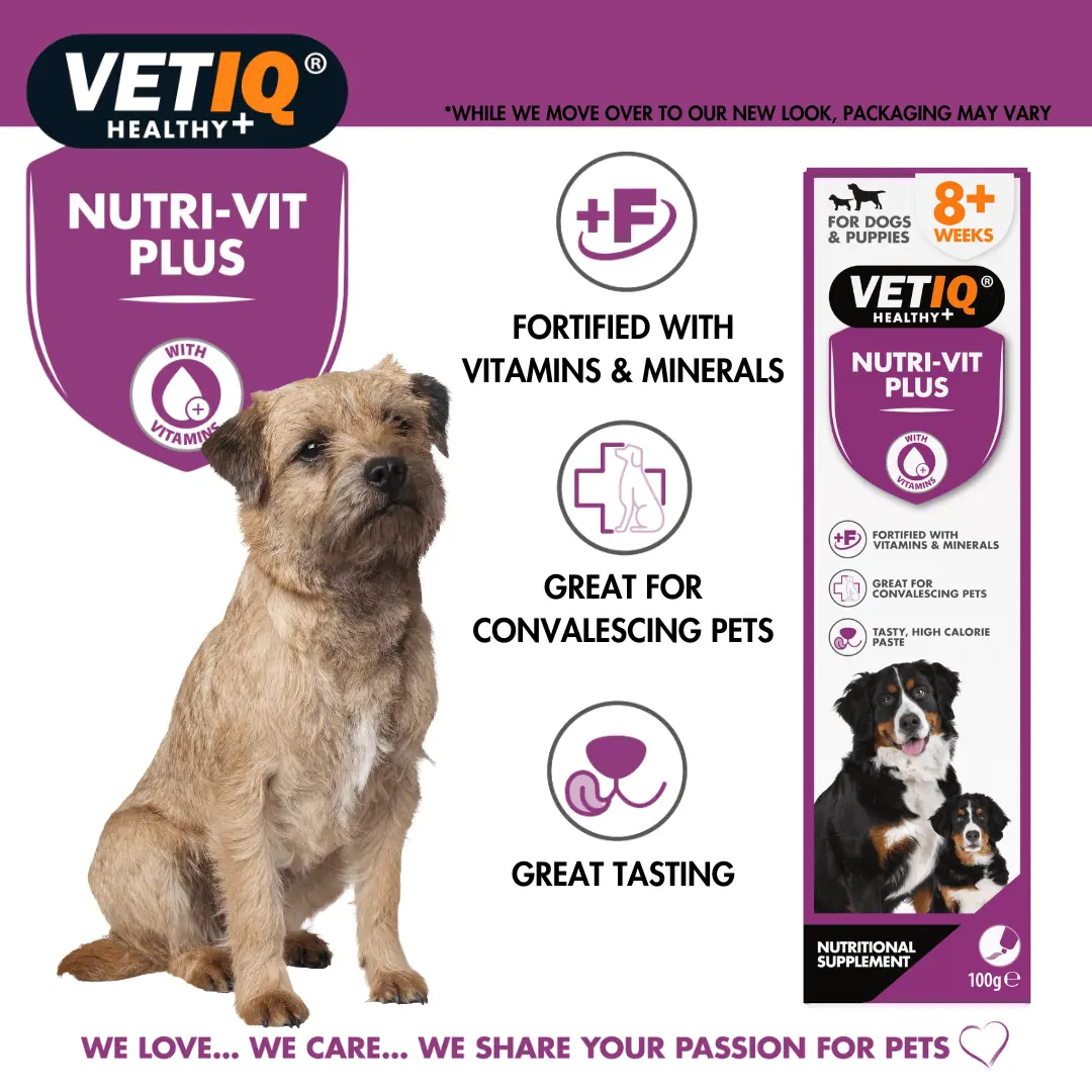 VETIQ® Nutri Vit Plus For Dogs 100Gm - Image 3