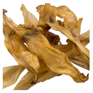 TOMMY'S RABBIT EARS ( NO FUR ) WITHOUT HAIR