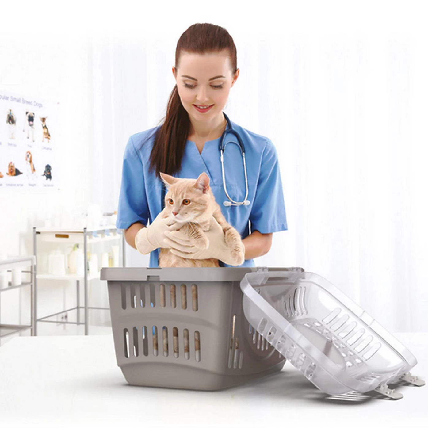 Rocket Top Pet Carrier Clear Top - Image 4