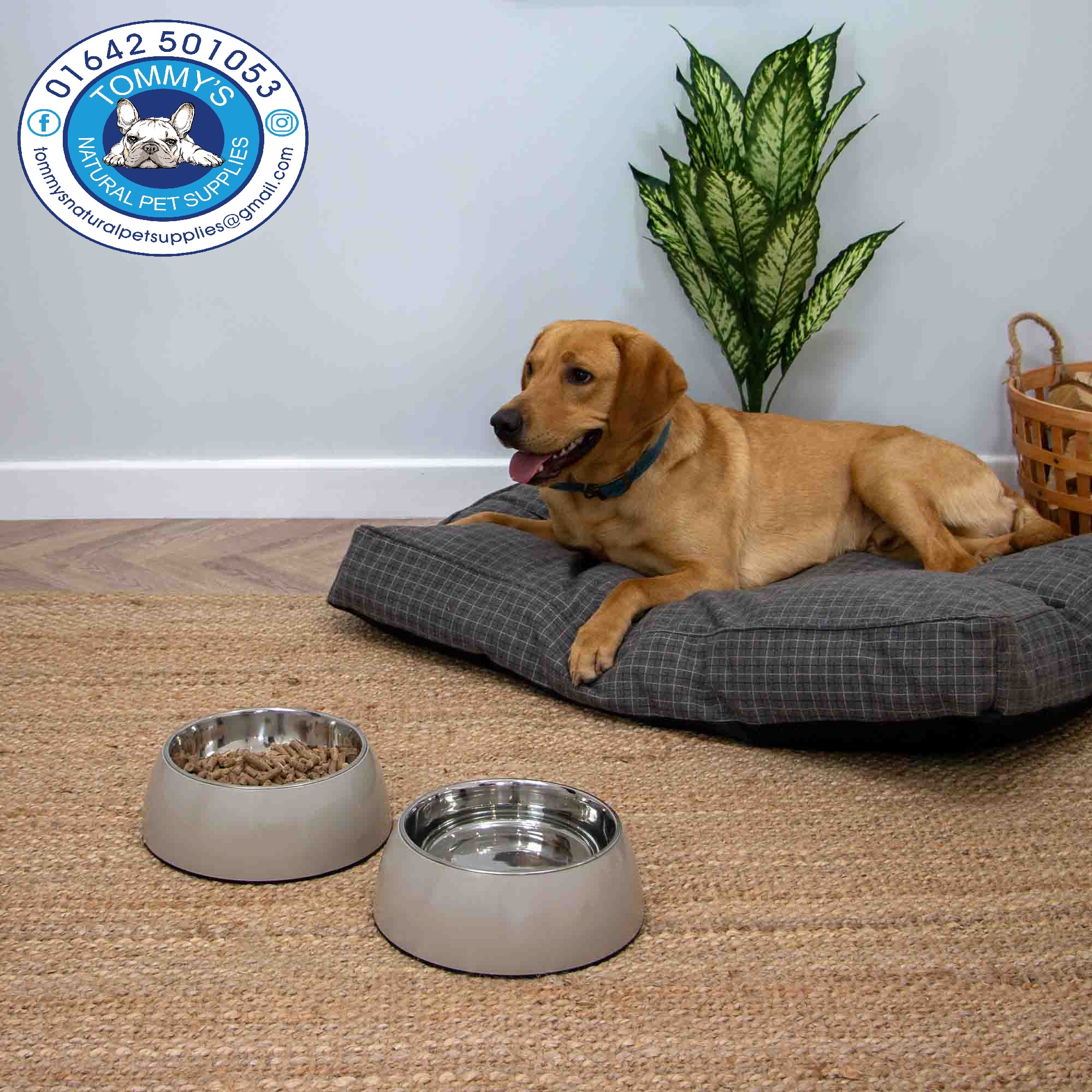 Oatmeal Bowl Stainless Steel Large - Image 4