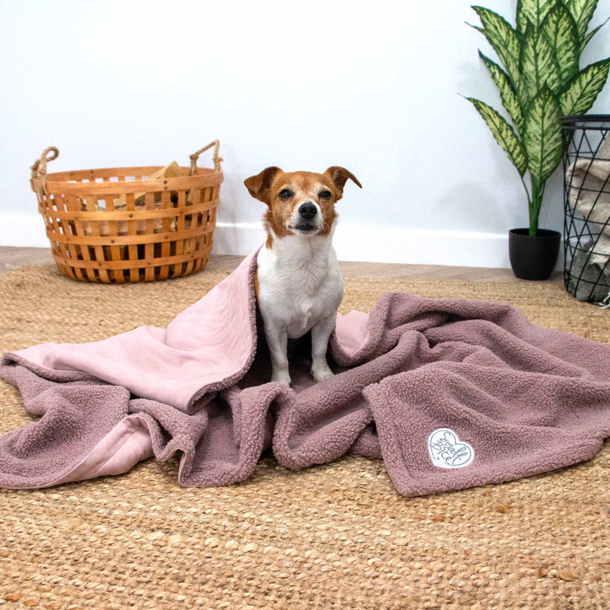 Small Bite Teddy Bear Blanket Rose,Pebble,Sage - Image 2