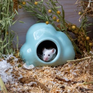 Small Animal Cloud Hide For Hamster,Mice,Gerbil