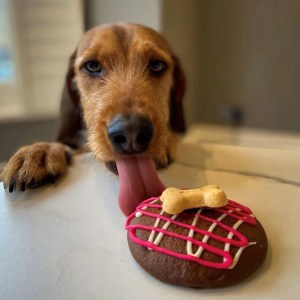 Doggy Cookies 3 Per Pack