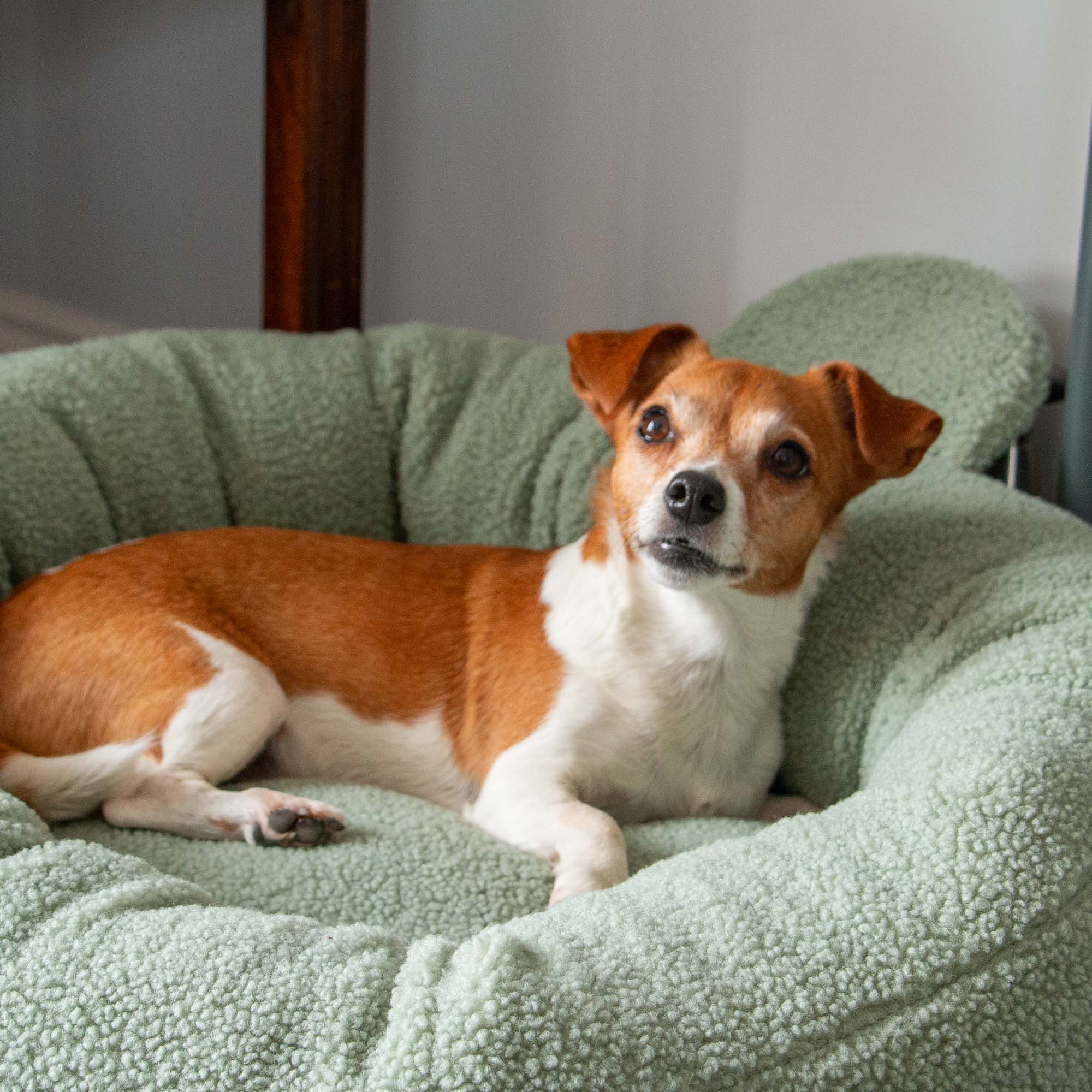 Small Bite Teddy Bear Donut Beds Sage 70cm - Image 3