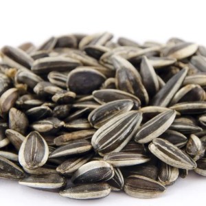 Striped Sunflower Seeds 1kg