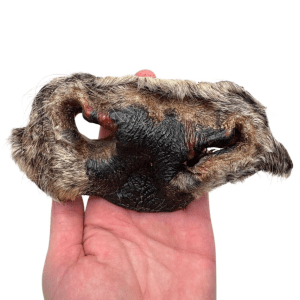 Beef Nose Natural Dog Chew - Single