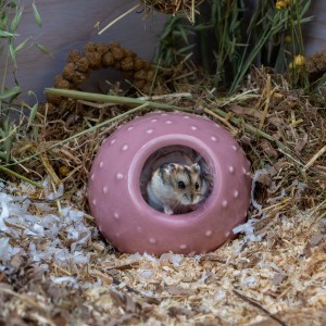 Small Animal Bobble Hide For Hamster,Mice,Gerbil