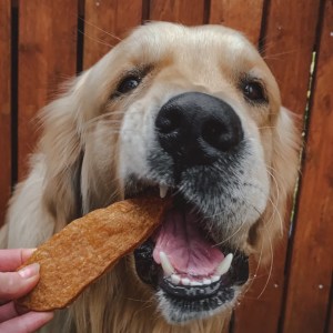 Chicken Jerky - Single