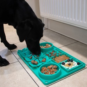 Tommy's Suction Cup Slow Feeding Station