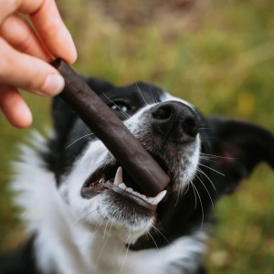 Ostrich Prime Tender Stick - Single