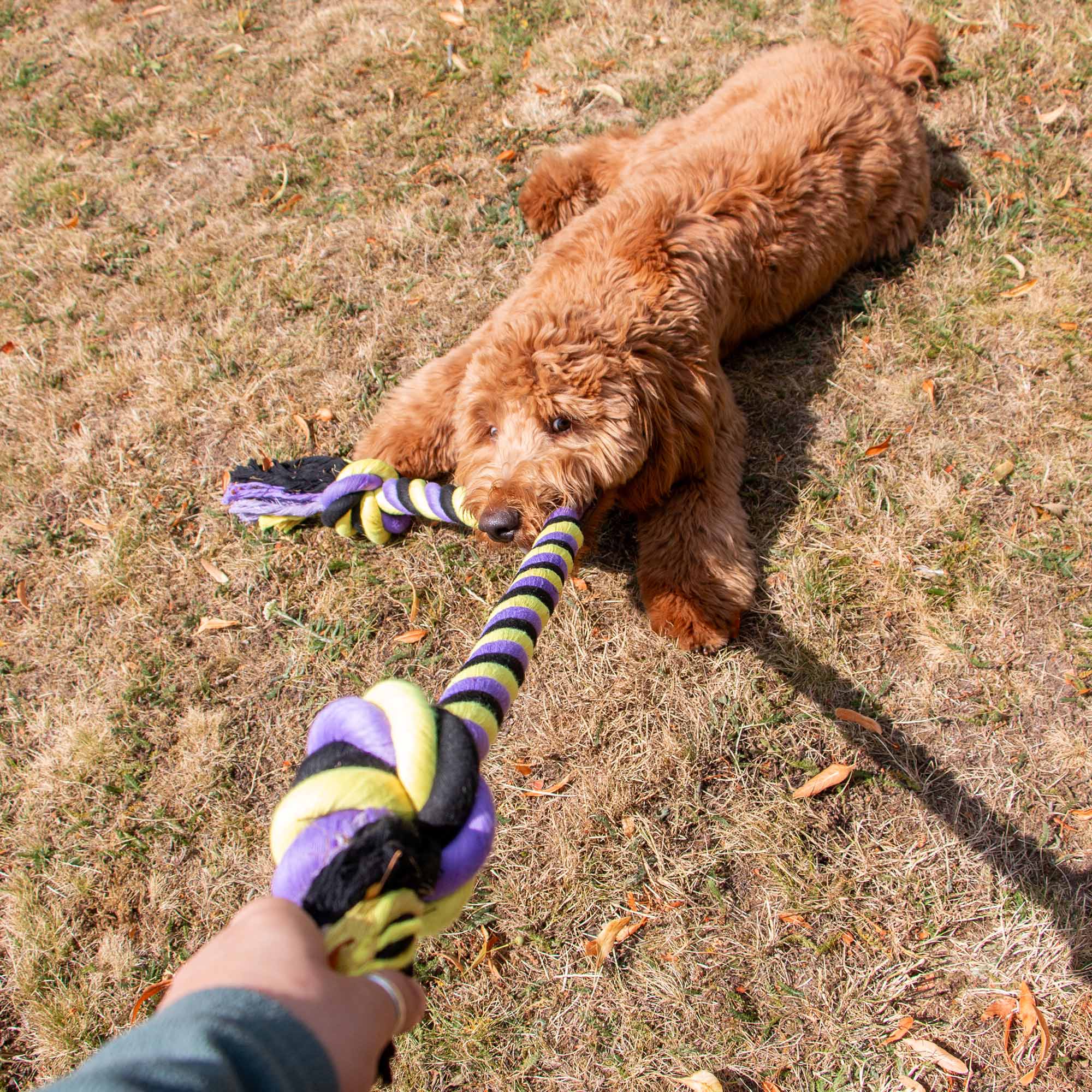 Tommy's Tricoloured Jumbo Rope