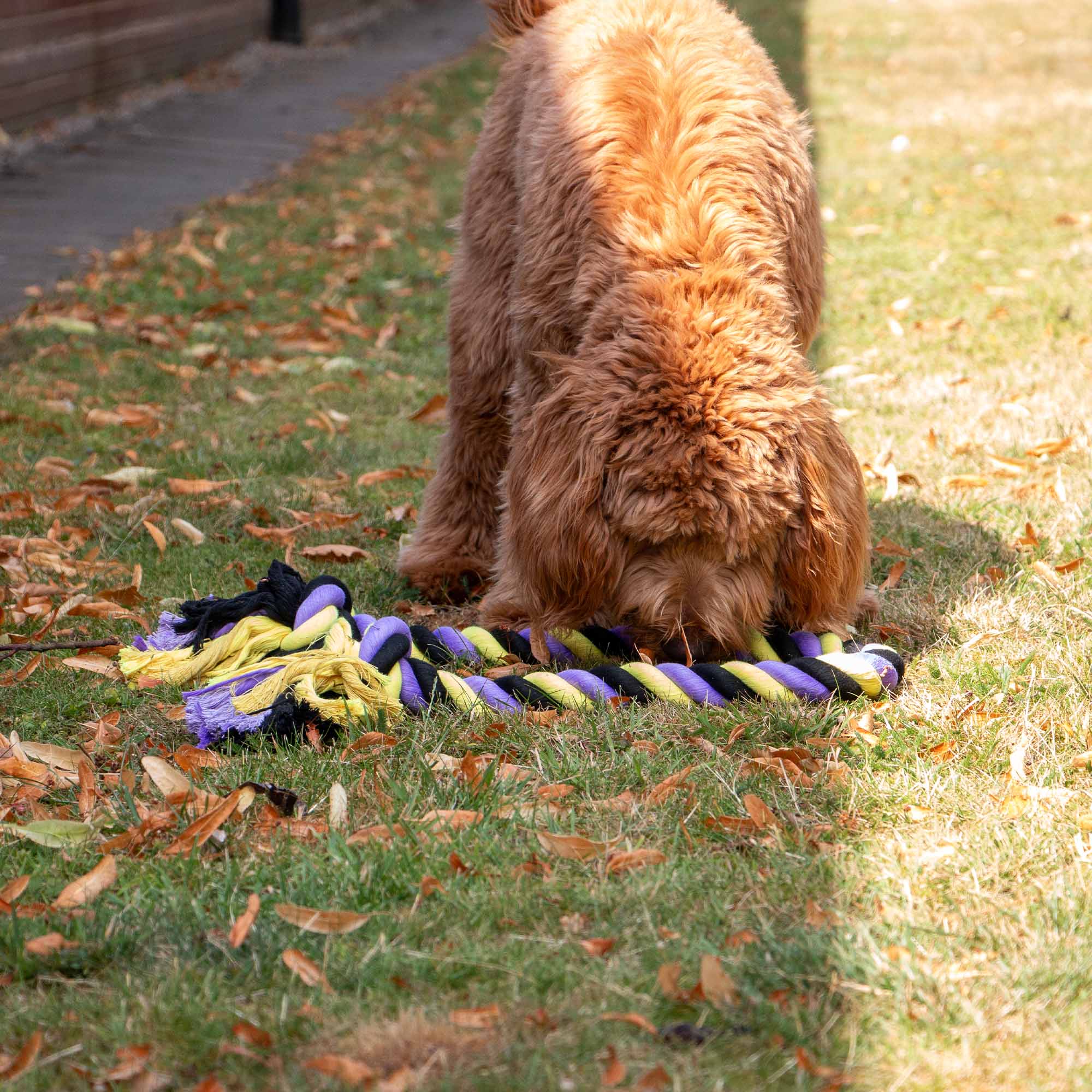 Tommy's Tricoloured Jumbo Rope - Image 2