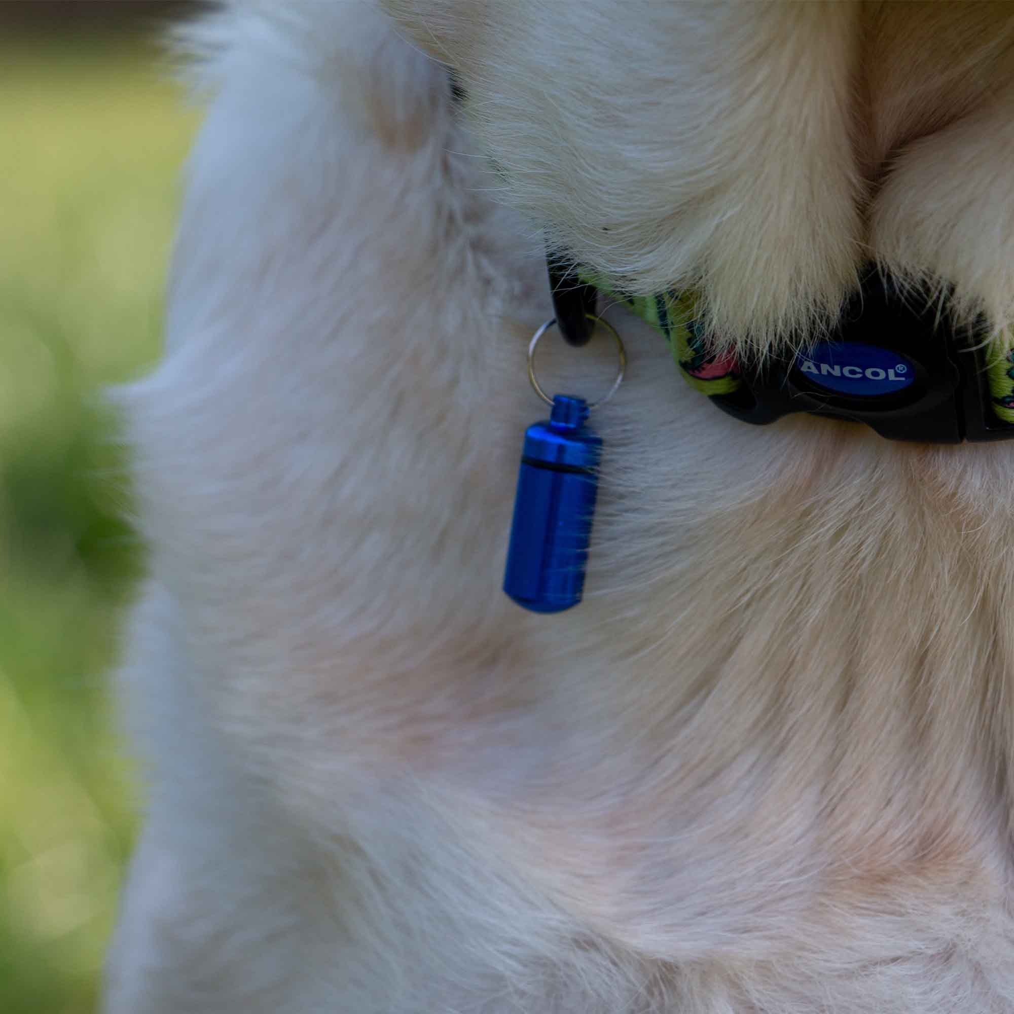 Aluminium Dog ID Tube - Image 4