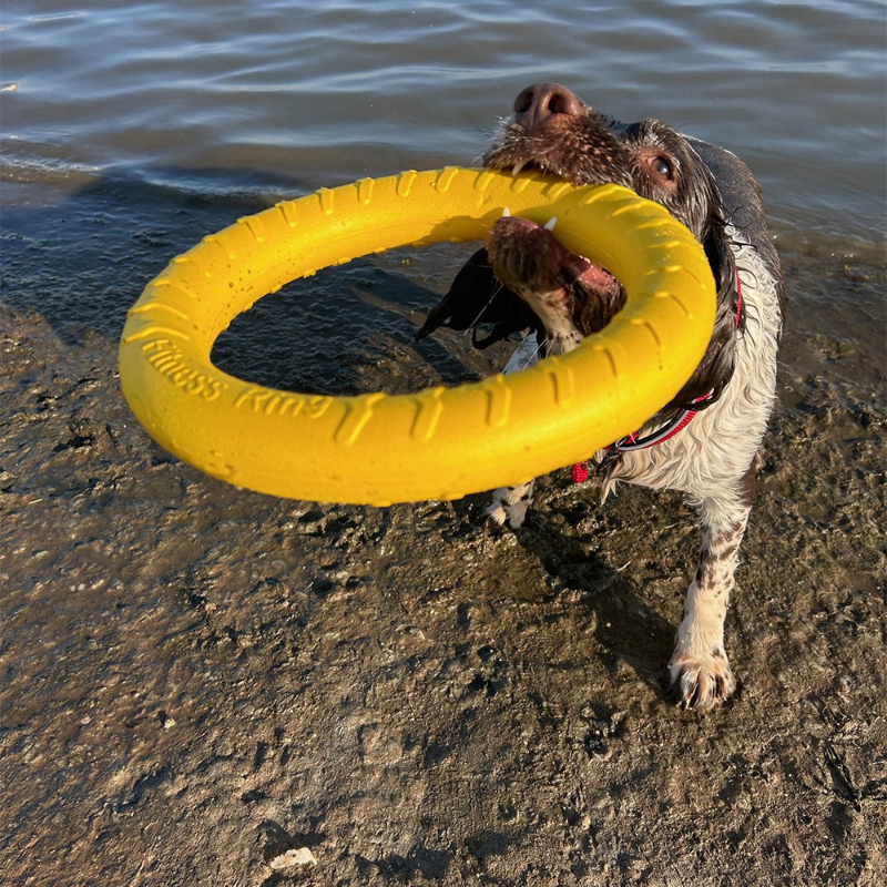 Floating Ring Dog Toy 7.5" OR 11" Orange or Yellow - Image 2
