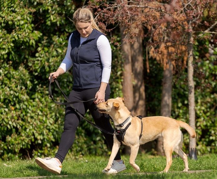 Halti No Pull Dog Harness - X/S , SMALL , MED OR LARGE - Image 5