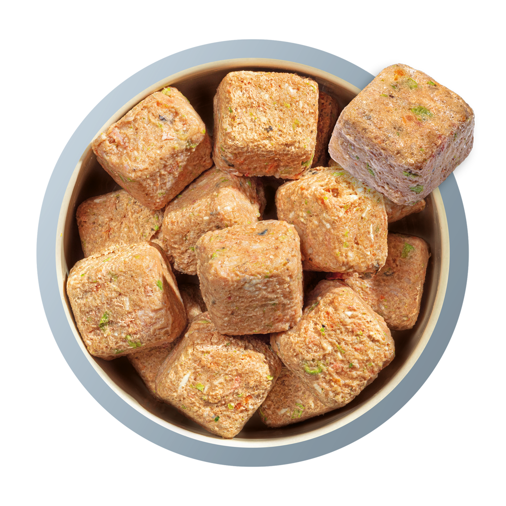 Complete & Balanced Nuggets Raw Dog Food 80/20 Fish 1kg Natures Menu - Image 3