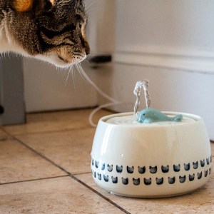Whale Cat Fountain