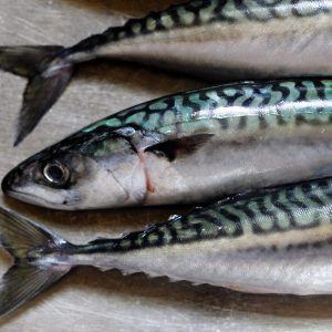 Reggies Whole Mackerel 1KG